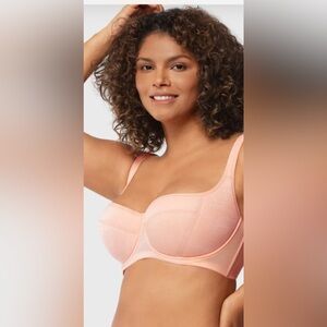 HSIA Bra Starry Night Pink Lightly Padded Underwire Balconette Sheen 36G